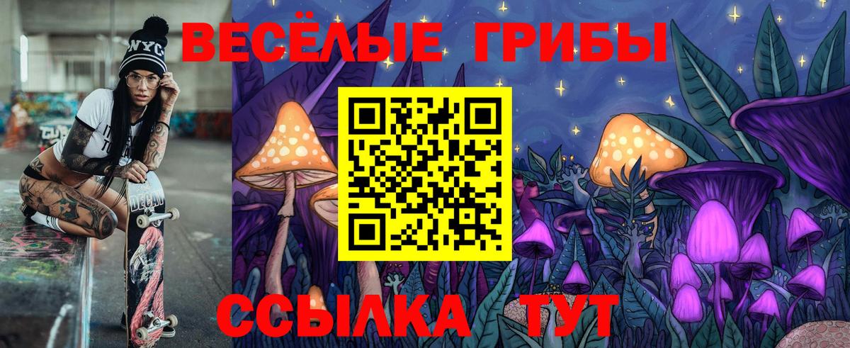 Псилоцибиновые грибы GOLDEN TEACHER  Вход с VPN  Новошахтинск 