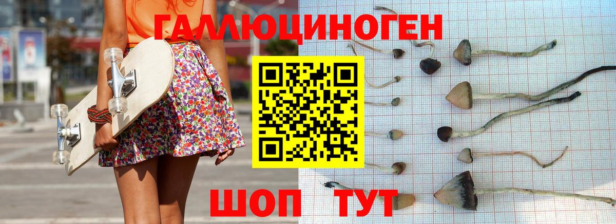 Псилоцибиновые грибы MAGIC MUSHROOMS Новошахтинск